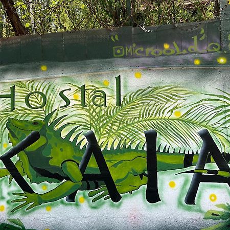 Hostal Kaia Santa Marta  Exterior photo